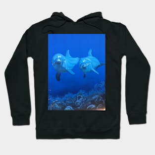 Dolphins Hoodie